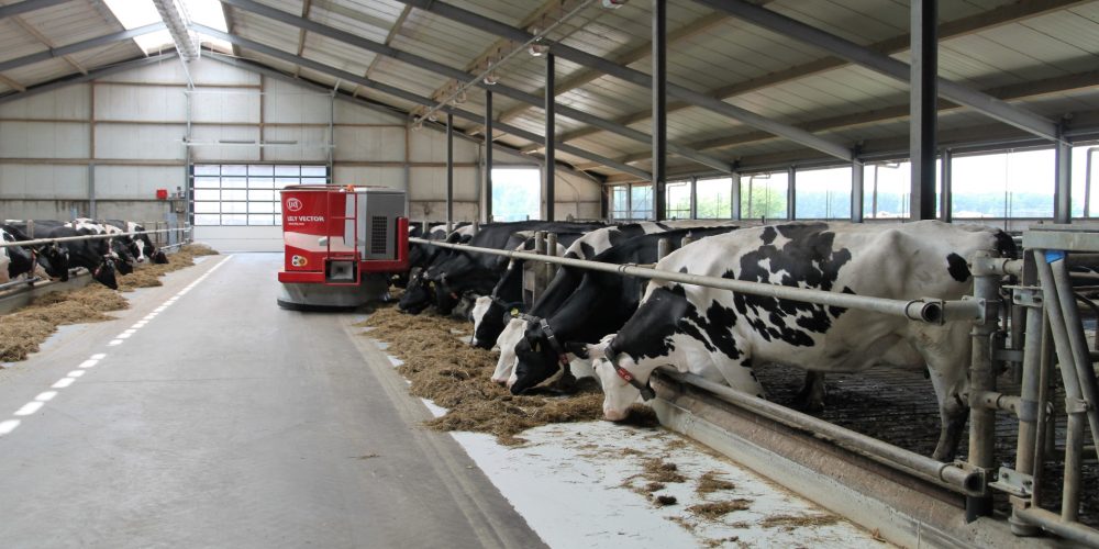 ¿Estás pensando en construir un establo?