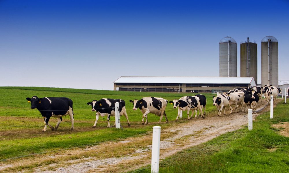 La Granja Experimental de Campus Terra.1920