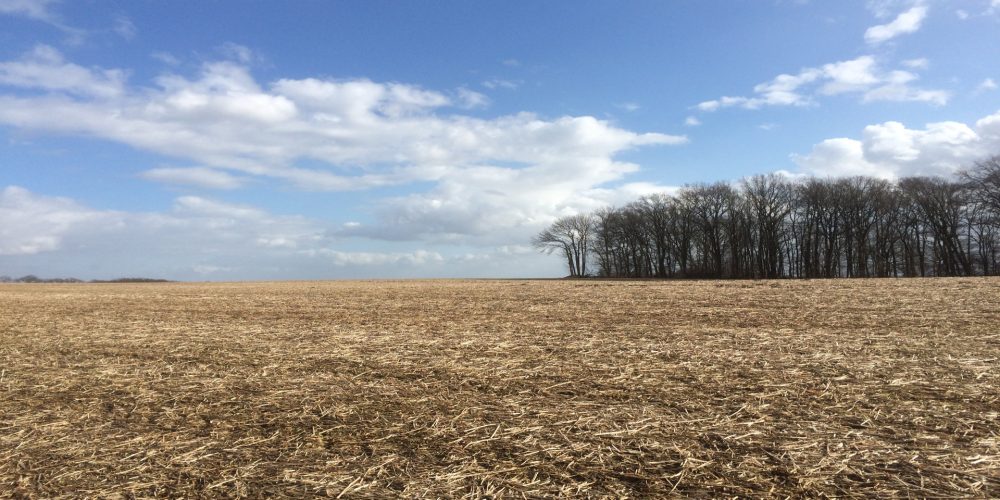 La Ley de Cambio Climático y Transición Energética establece prohibir nuevos subsidios que favorezcan el consumo de combustibles fósiles