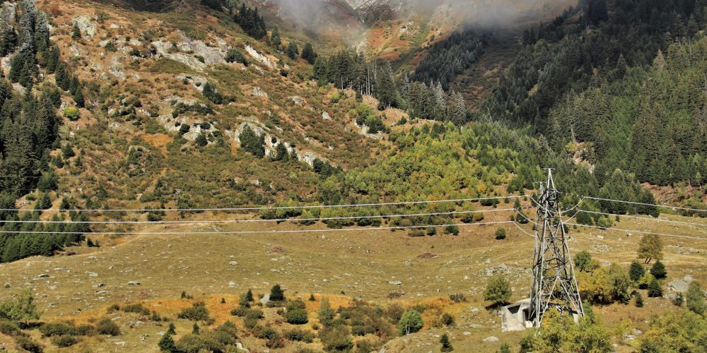 La Xunta pretende obligar a los propietarios a cortar el arbolado en los márgenes de líneas eléctricas