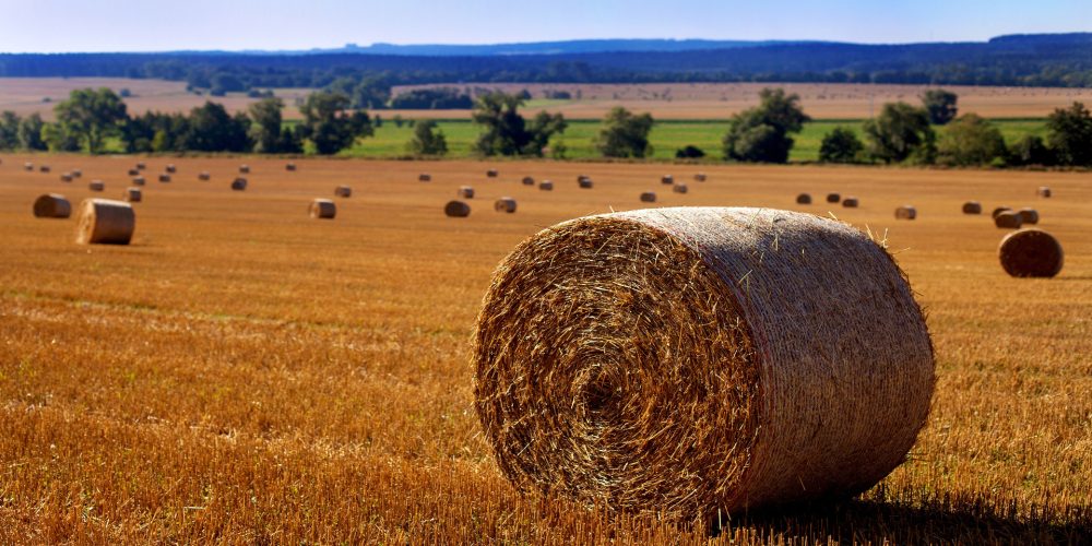 La reducción de la PAC eliminará a los perceptores jubilados