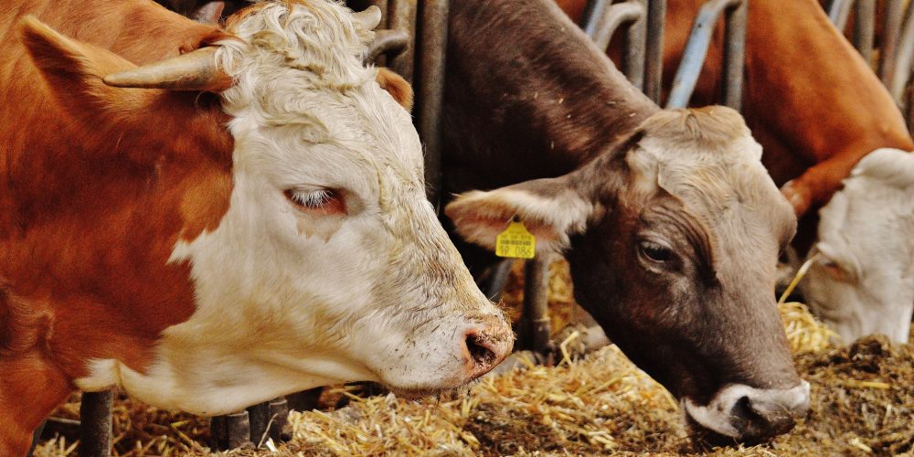 Menos propaganda y más demostrar el compromiso con esta actividad