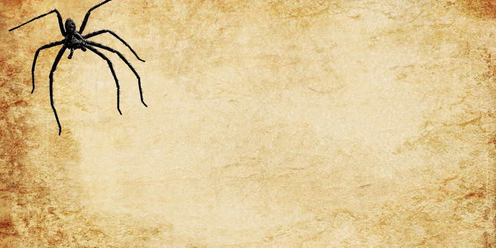 Nuestras fobias provienen del miedo a la muerte: los psicólogos sociales lo llaman “la teoría del manejo del terror”