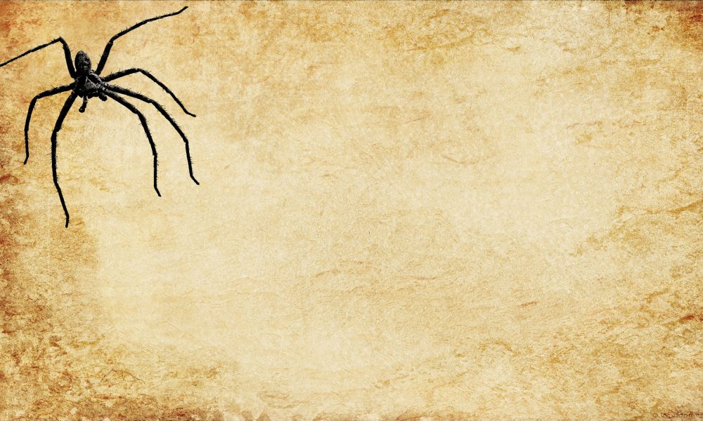 Nuestras fobias provienen del miedo a la muerte los psicologos sociales lo llaman la teoria del manejo del terror 1920