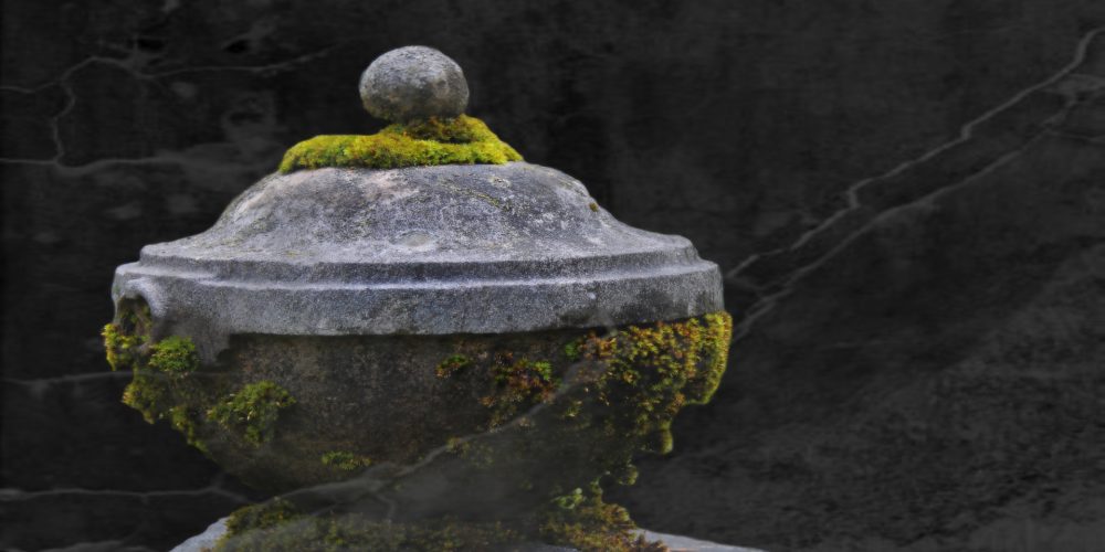 Según los Testigos de Jehová: hay tres razones al menos para creer lo que dice la Biblia