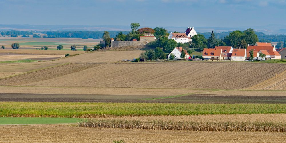 Una innovadora aplicación informática para agrupar parcelas