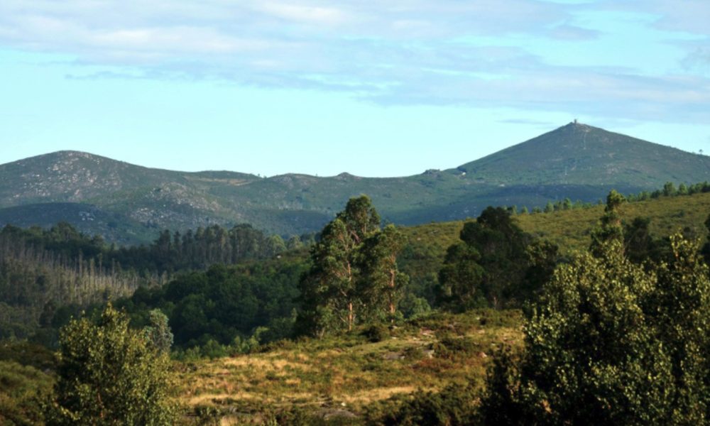 a-partir-de-2020-obligatorio-planes-ordenacion-monte-gallego-1920