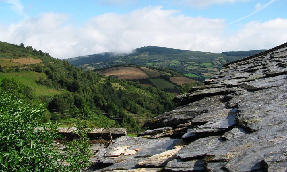 agader-convoca-ayudas-para-financiar-iniciativas-en-el-rural-1920