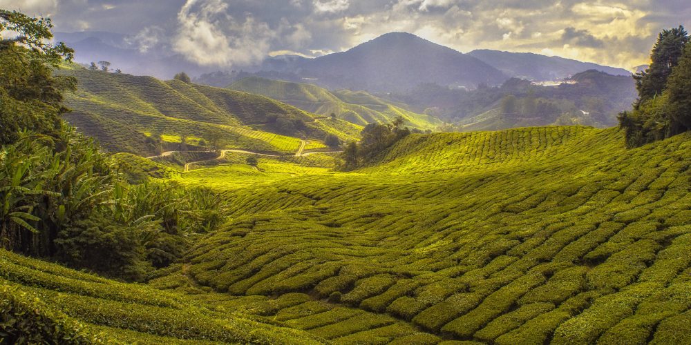 Ampliado el plazo hasta el 7 de mayo para solicitar las ayudas de la PAC