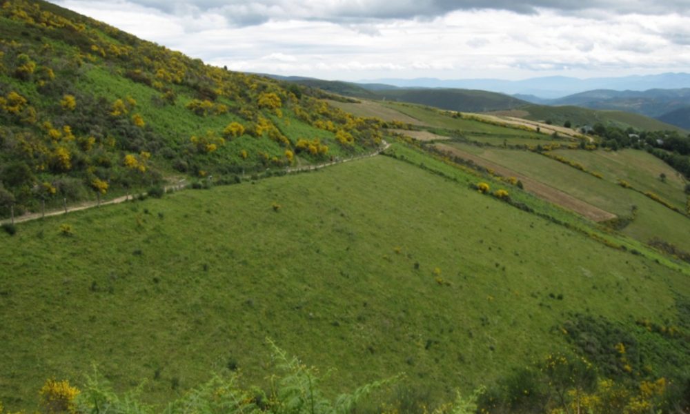 ayudas-para-fijar-limites-de-comunidades-de-montes-1920