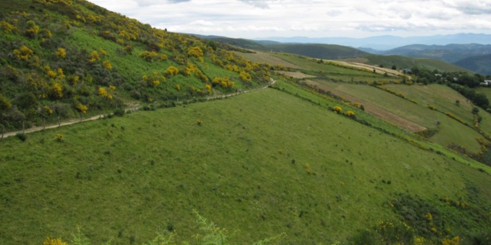 Ayudas para fijar los límites de comunidades de montes