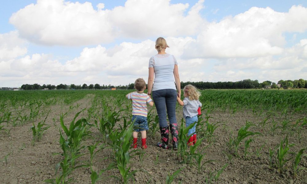 ayudas-para-mejorar-explotaciones agrarias-e-incorporar-jovenes-al-campo-1920