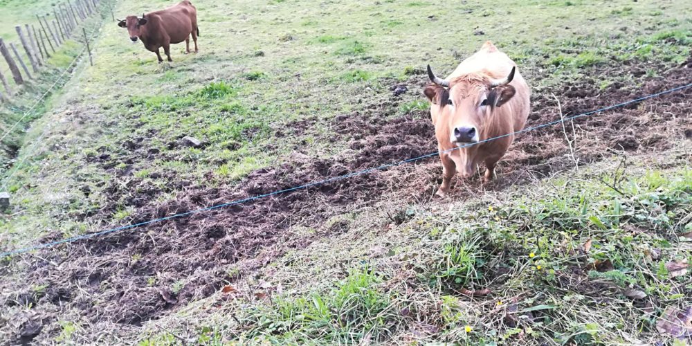 Beneficiarios de las ayudas para el apoyo a explotaciones agrícolas