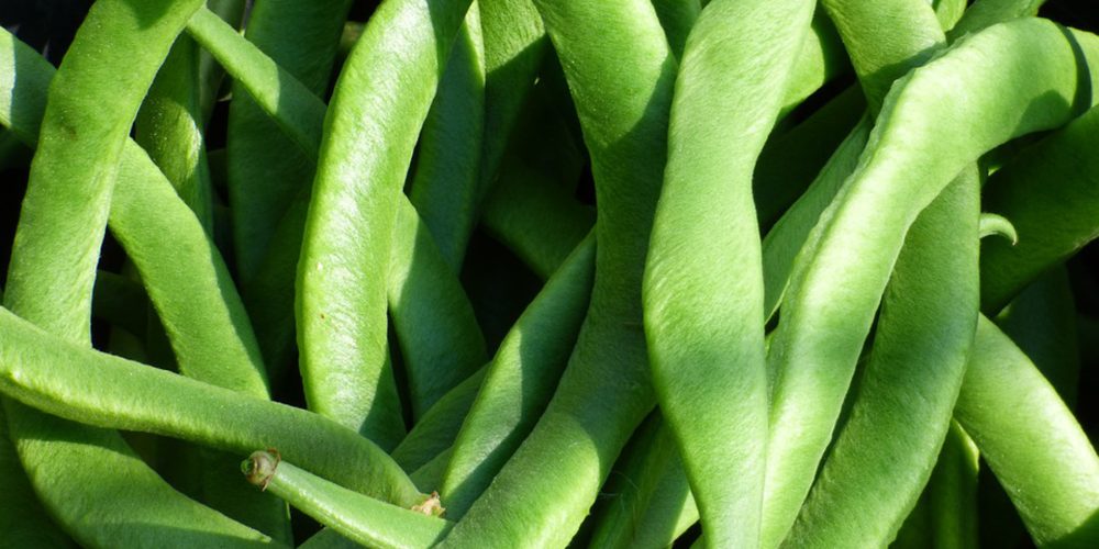 Cómo elegir y conservar las judías verdes