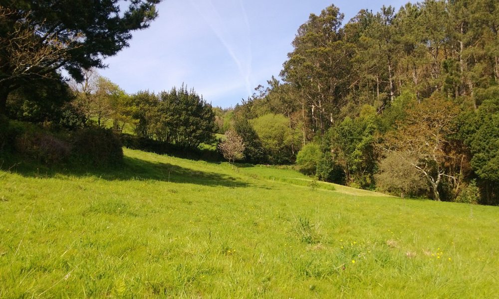 cuales son los beneficios de la concentración parcelaria