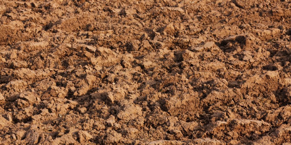 ¿Cuáles son los principales efectos de la contaminación agrícola?