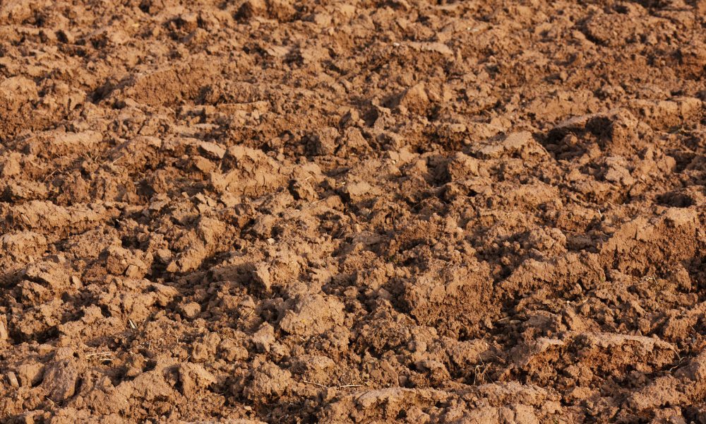 cuales-son-los-principales-efectos-de-la-contaminacion-agricola-1920