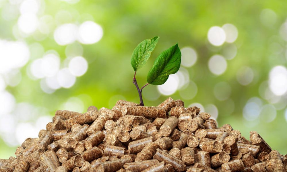 deza-recibe-299000-euros-en-ayudas-para-mejoras-energeticas-1920