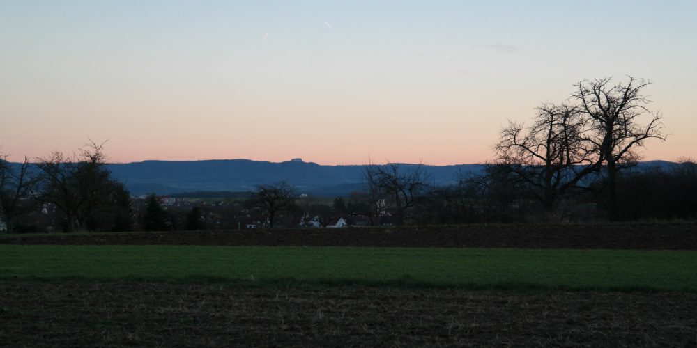 El huerto en diciembre
