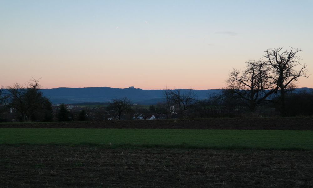 el huerto en diciembre.1920