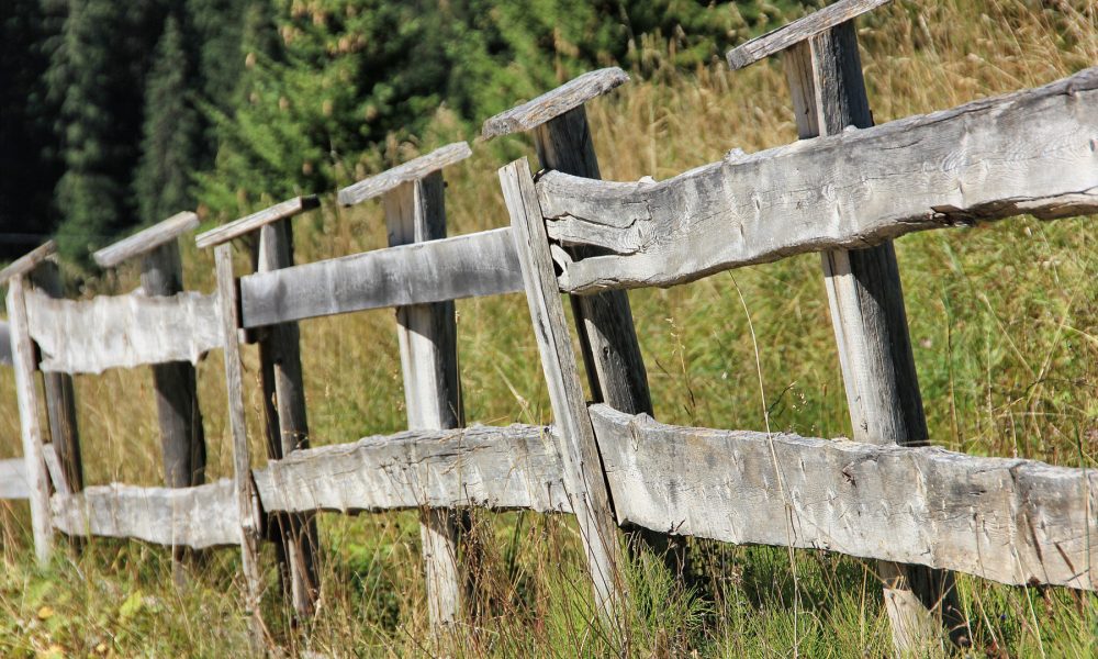 encuentro-pedagogico-en-ourense-sobre-la-educacion-en-el-medio-rural-1920