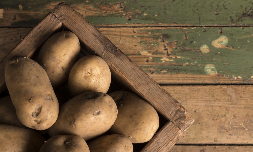 espana-primer-pais-de-la-ue-en-produccion-ecologica-1920