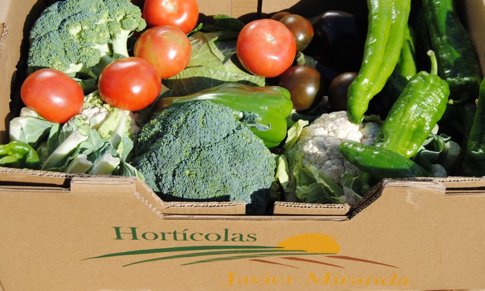 esta-navidad-apuesta-por-un-regalo-saludable-cesta-de-verduras-y-hortalizas-1920