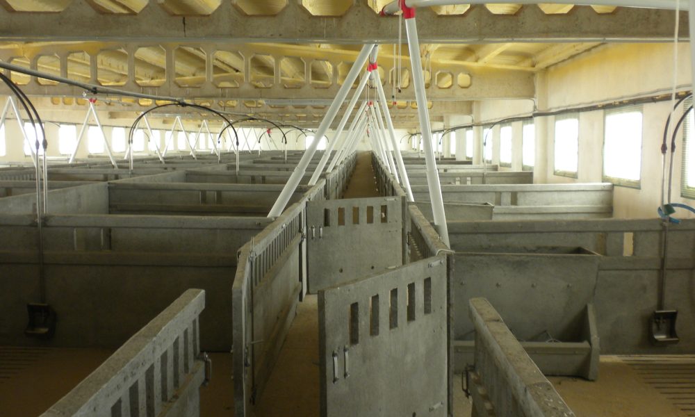 explotacion-agraria-una-de-las-empresas-clave-del-sector-primario-1920