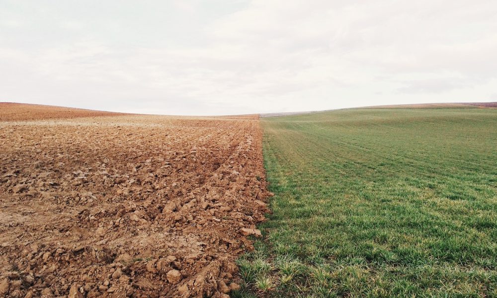 galicia-continua-perdiendo-superficie-agraria-util-1920