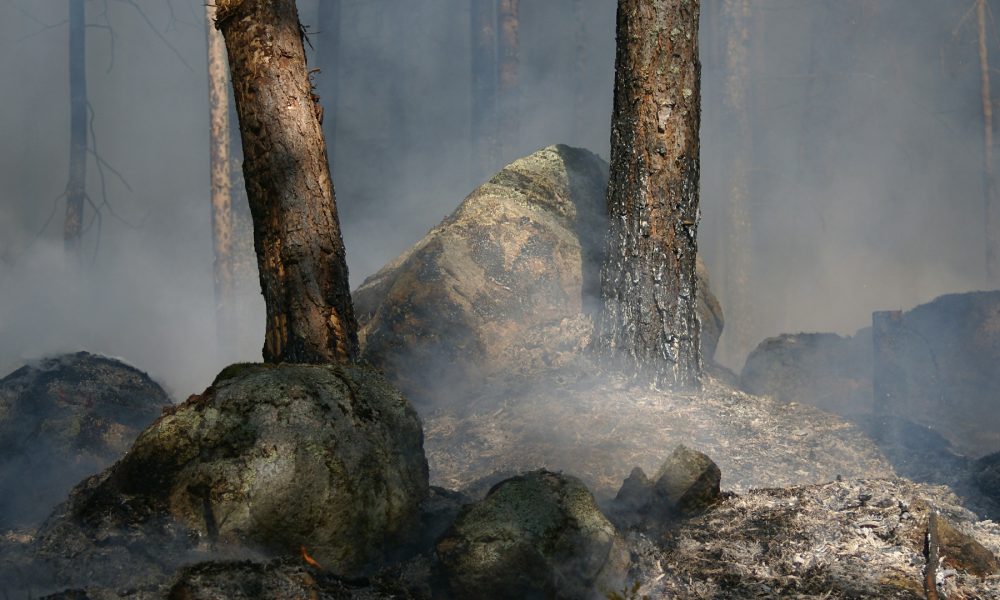 hasta-el-30-de-noviembre-para-solicitar-las-ayudas-por-los-danos-de-los-incendios-1920