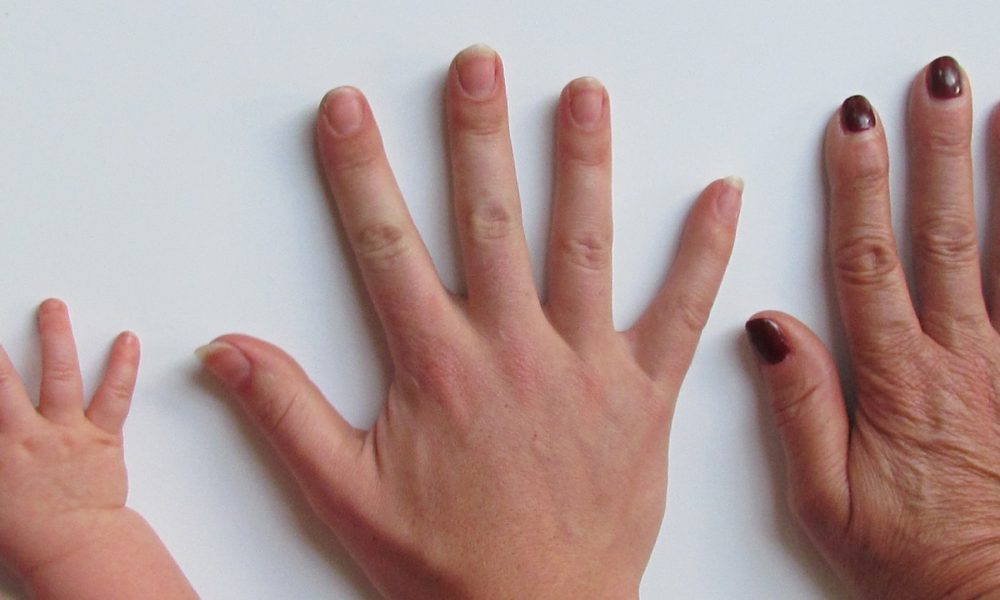 intervenir en el proceso de autofagia podría detener el envejecimiento