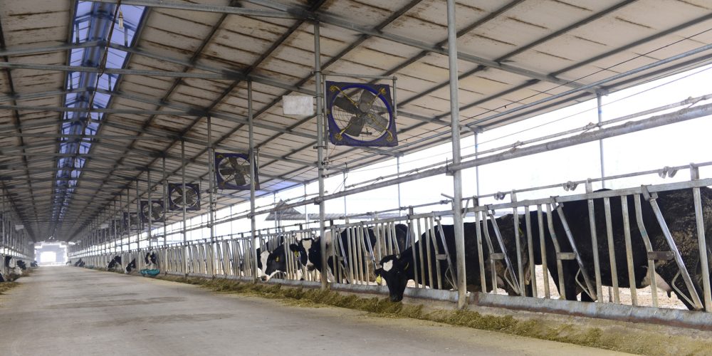 IPPC: qué es y sus condiciones medioambientales