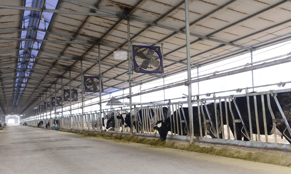 ippc que es y condiciones medioambientales