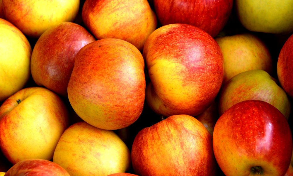 las-frutas-preferidas-por-todos-1920