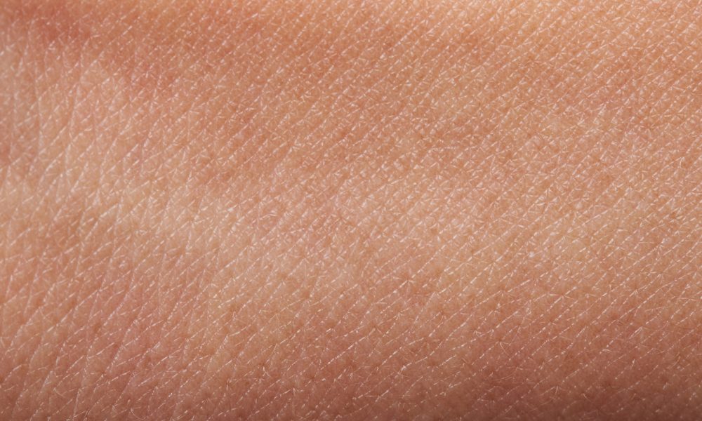 las tres grandes funciones de la piel