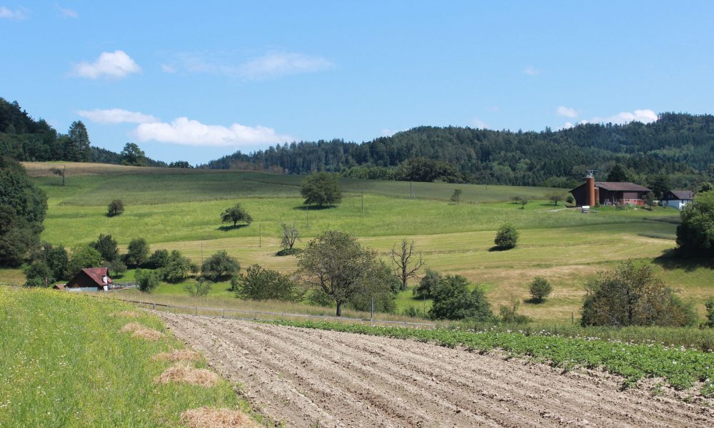 los-principios-basicos-de-la-agroecologia-1920