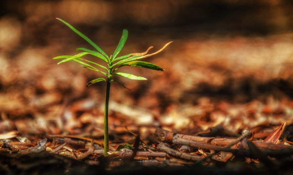 los-principiosde-la-economia-del-bien-comun-1920