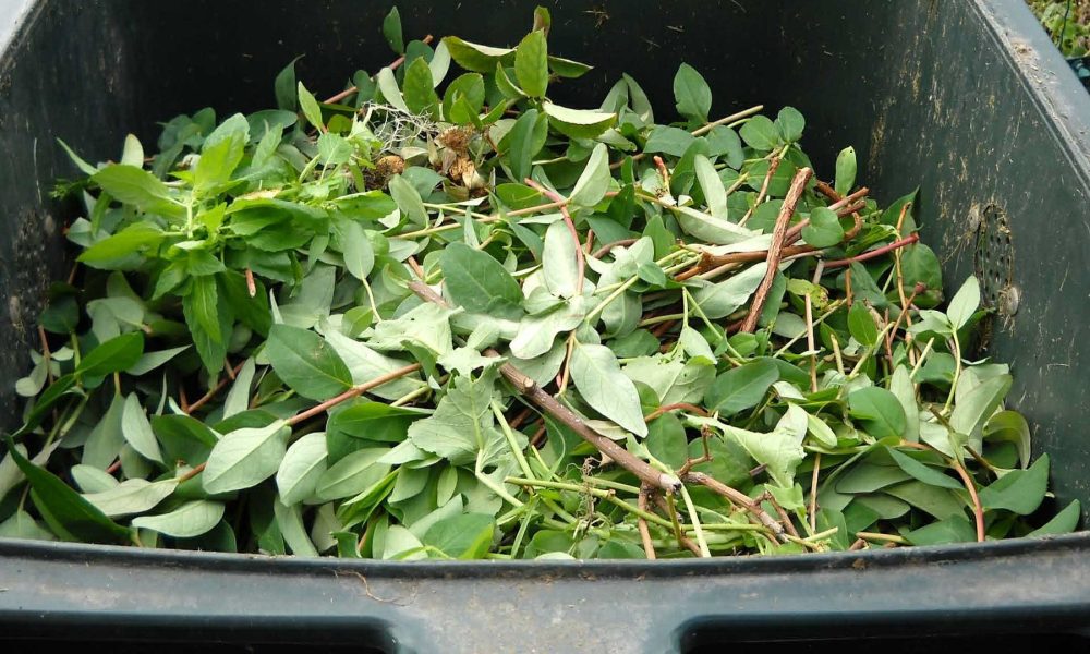 mas-de-1000-composteros-individuales-para-vecinos-rural-pontevedra-1920