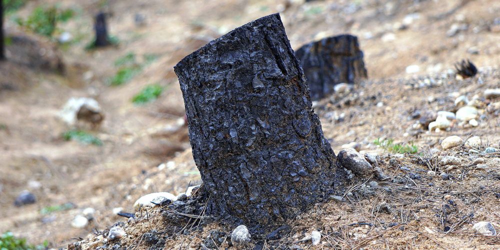 Mayor número de incendios este verano, pero menos superficie quemada en Galicia