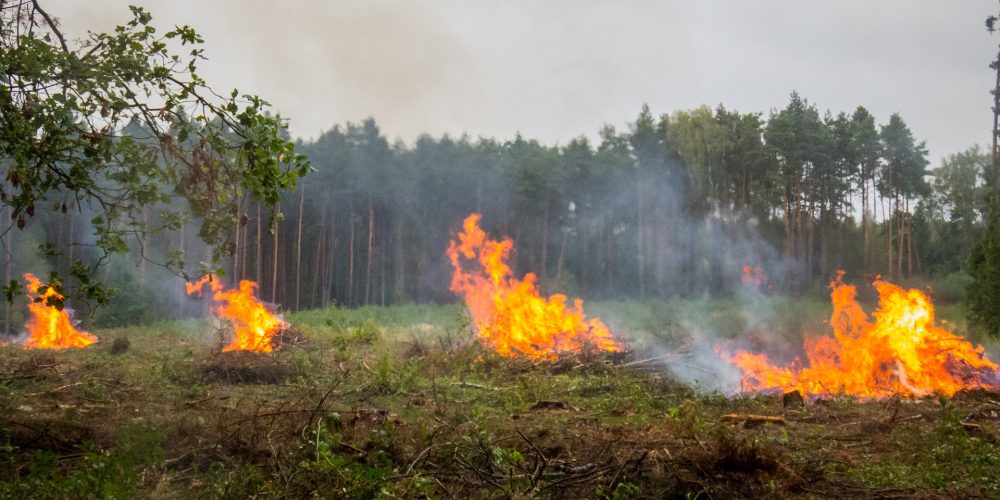 Notificaciones de la Xunta a los propietarios de terrenos sin limpiar