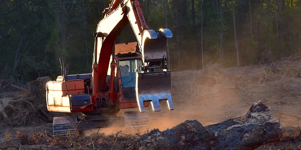 Nuevo plan de formación para el sector forestal gallego