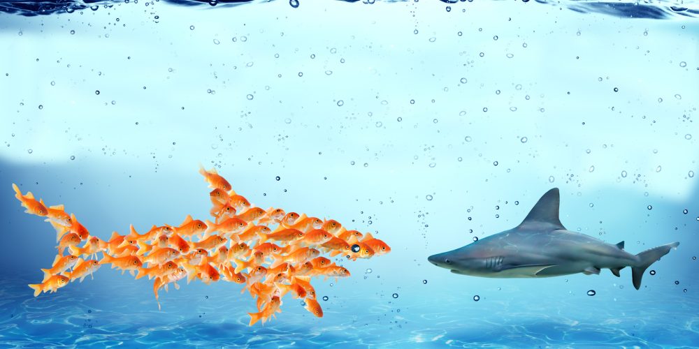 El proceso colaborativo frente al proceso de lucha para el logro del posicionamiento personal y empresarial