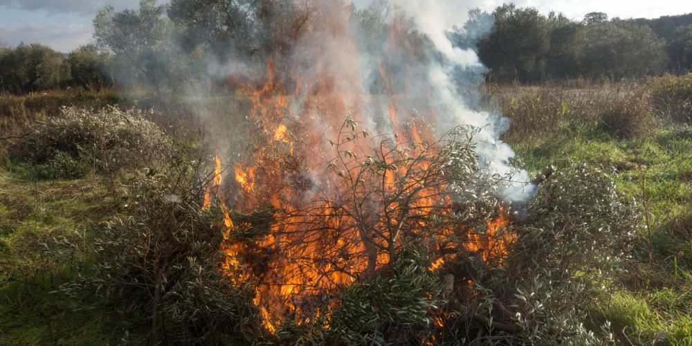 Todo lo que debes saber sobre el permiso de quemas