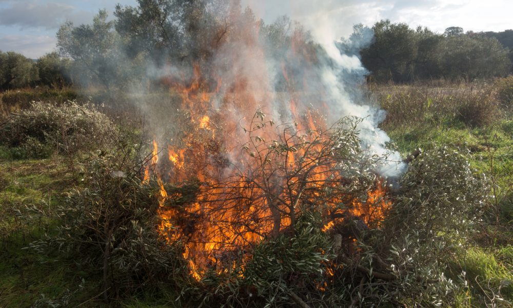 todo lo que debes saber sobre las quemas