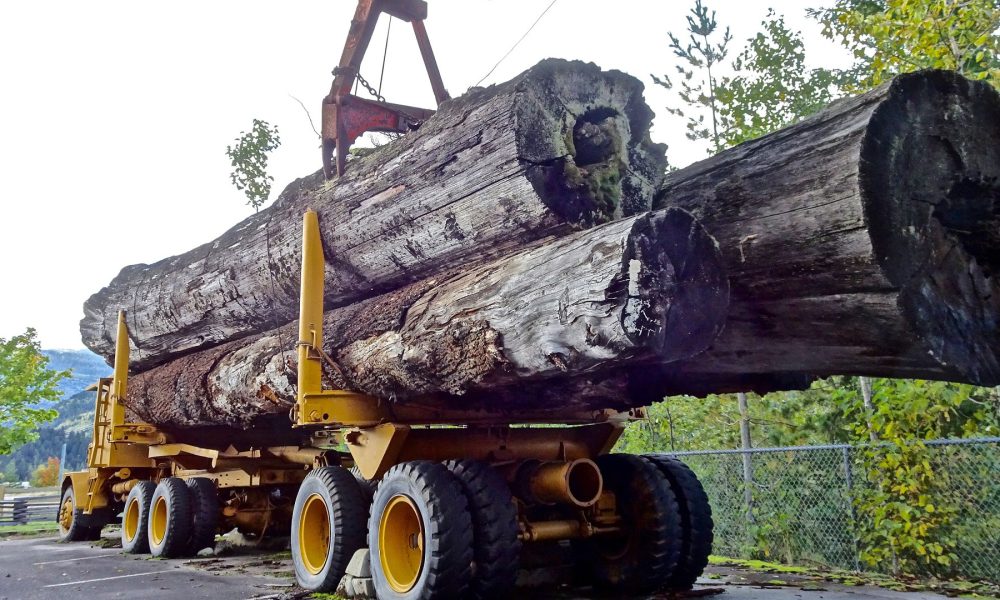 ultimos-dias-para-solicitar-ayudas-empresas-transformadoras-sector-forestal-1920