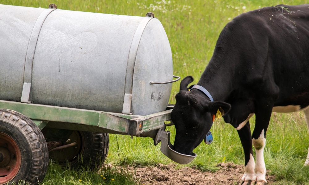 un-mes-para-solicitar-ayudas-que-garanticen-el-suministro-de agua-a-las-explotaciones-agrarias-1920