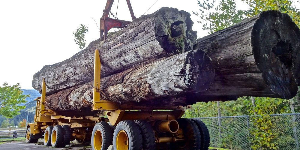 Últimos días para solicitar las ayudas para empresas transformadoras del sector forestal