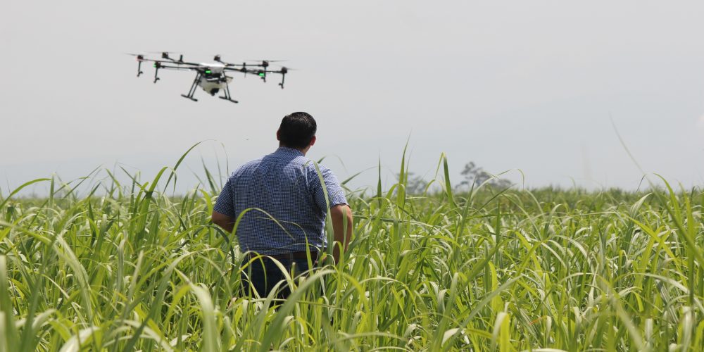 Drones para controlar el ganado y los cultivos