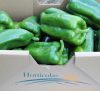 Hortícolas Javier Miranda