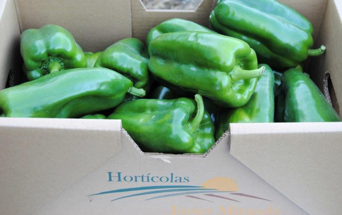 Hortícolas Javier Miranda